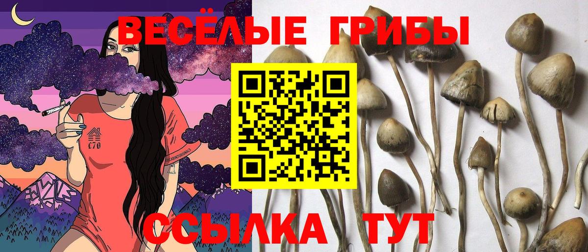 Псилоцибиновые грибы ЛСД Малоярославец