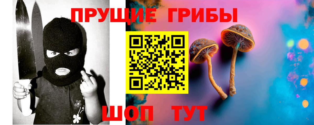 закладка  Вход с VPN  Малоярославец  Псилоцибиновые грибы Magic Shrooms 